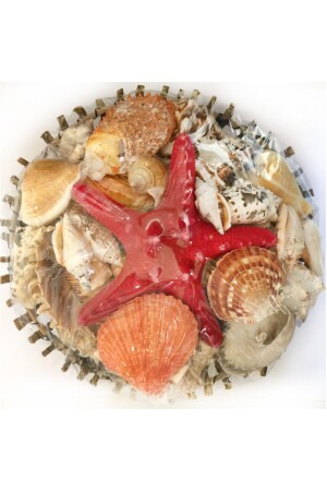 Dekoratif kırmızı Sepet Kabuk - Evinizdeki Okyanus Esintisi Turkuaz Hediyelik