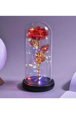 Dekorative beleuchtete Glasglocke, Geschenk, Rose in beleuchteter Glasglocke, Geschenk – Liebhaber, Rote Ewigkeitsrose 008092 - 1
