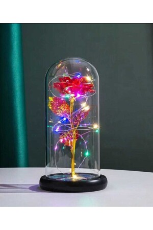 Dekorative beleuchtete Glasglocke, Geschenk, Rose in beleuchteter Glasglocke, Geschenk – Liebhaber, Rote Ewigkeitsrose 008092 - 3