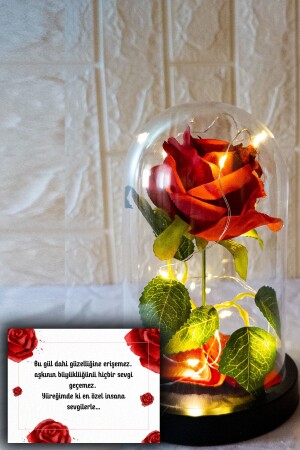 Dekorative Feen-LED-beleuchtete, lichtverblassende rote Rosenlampe in einer Glasglocke, Geschenk für Liebhaber, besondere Note SGL4242 - 1