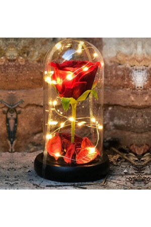 Dekorative Feen-LED-beleuchtete, lichtverblassende rote Rosenlampe in einer Glasglocke, Geschenk für Liebhaber, besondere Note SGL4242 - 4