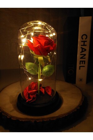 Dekorative Feen-LED-beleuchtete, lichtverblassende rote Rosenlampe in einer Glasglocke, Geschenk für Liebhaber, besondere Note SGL4242 - 5