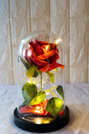 Dekorative Feen-LED-beleuchtete, lichtverblassende rote Rosenlampe in einer Glasglocke, Geschenk für Liebhaber, besondere Note SGL4242 - 6