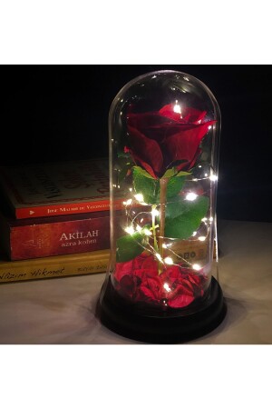 Dekorative Feen-LED-beleuchtete, lichtverblassende rote Rosenlampe in einer Glasglocke, Geschenk für Liebhaber, besondere Note SGL4242 - 7