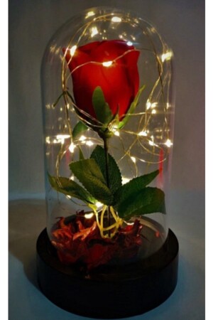 Dekorative Feen-LED-beleuchtete, lichtverblassende rote Rosenlampe in einer Glasglocke, Geschenk für Liebhaber, besondere Note SGL4242 - 8