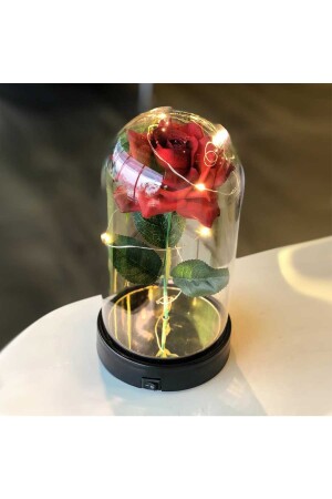 Dekorative Feen-LED-beleuchtete verblassende rote Rosenlampe und goldene Engelskette in einer Glasglocke GMSGL4242 - 8