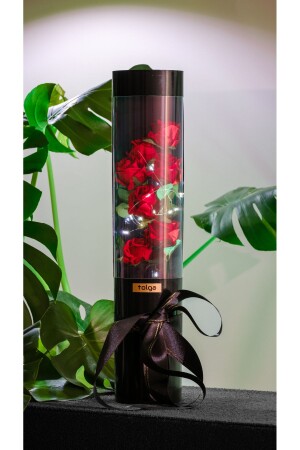 Dekorative Geschenk-Rosenboxen mit LED-Lichterkette – besondere Geschenkboxen für Verliebte und Silvester - 3