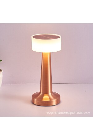 Dekorative Tischlampe, wiederaufladbar, 3-Farben-Lampe, Touch-Dimmung, Atmosphäre, Nachtlicht promtll1 - 3