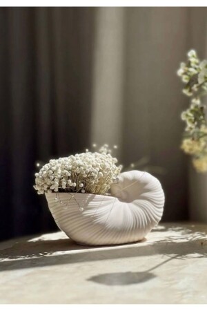 Dekorative Vase in Muschelform - 2