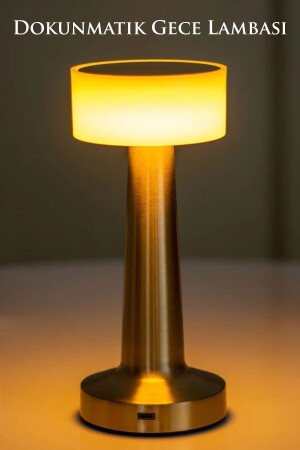 Dekorative wiederaufladbare Touch-LED-Tischlampe, USB-Kabel, Lampenschirm und Nachtlicht 21595256 - 2