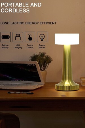 Dekorative wiederaufladbare Touch-LED-Tischlampe, USB-Kabel, Lampenschirm und Nachtlicht 21595256 - 4