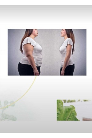 Detox-Tee 28 Tage Psyllium Slim Detox 100gr Psyllium-Kräuterpulver Schlankheitstee ps504 - 7