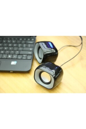 Dhs-2111 2. 0 Tragbarer Mini-Multimedia-Lautsprecher DHS-2111 - 6