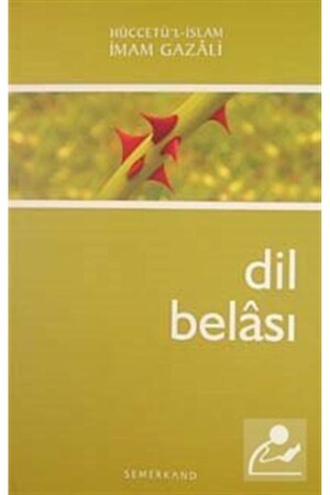 Dil Belası - 2