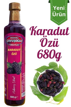 Doğal ve Katkısız Karadut Özü 680g - 1