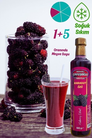 Doğal ve Katkısız Karadut Özü 680g - 3