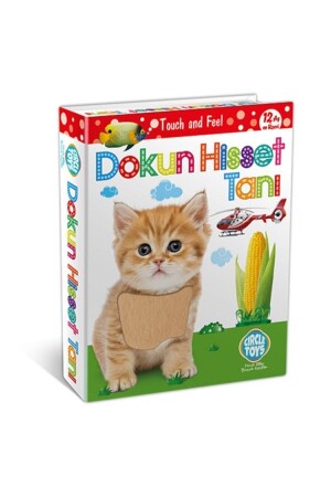 Dokun Hisset Tanı Kartları MMCKPQR269 - 1