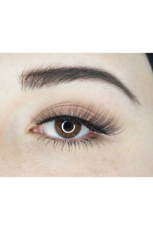 Dreifaches Set mit künstlichen Cateye-Wimpern aus Seide (MODELL F7) – Transparenter Powerliner-Stift, Kleber und Befestigungswerkzeug - 2