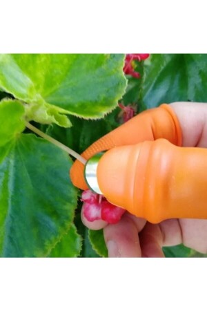 مكنة خيارات خيارات خيارات خيارات خيارات خيارات خيارات خيارات خيارات خيارات خيارات خيارات خيارات خيارات خيار - Genel Markalar