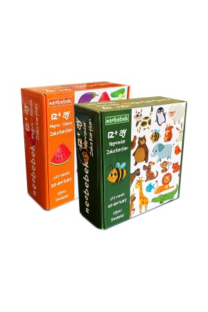 Dünyayı Tanıyorum Zeka Kartları Seti (2 KUTU) - Neobebek