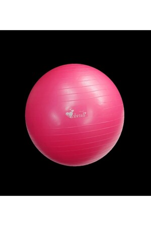 Ebru Fuchsia Pilatesball 65 cm 1002 - 1