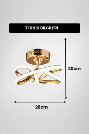 Eclipse Model Gold Kaplama Metal Salon Mutfak Oturma Yatak Odası Modern Led Plafonyer Avize - 3