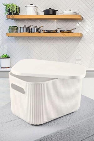 صندوق منظمة متعددة الأغراض مع غطاء - صندوق مجوهرات تجميل حمام المطبخ منظمة Ecru 6 Lt Org-2023 - Homing