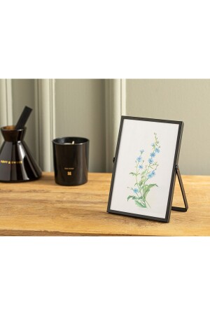 (منز-إديلا) ، رامي معدني؟ - English Home