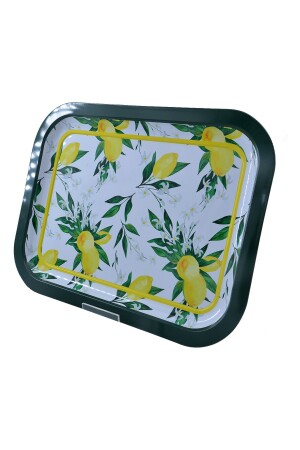 Ef161-t2 Sn_lemon Desenli Dikdörtgen Tepsi 23x31 Cm TYC00564703852 - 4