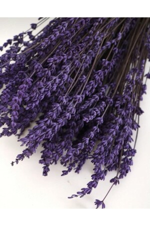 (منز) صدمة لا تسرب (لافندر) الحقيقي - Efiraz