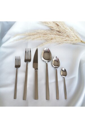 Elit Sade Çatal Kaşık Bıçak Seti Kutulu 72 Parça 605 - SILA