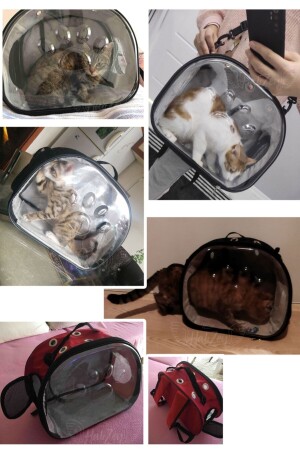 Ellipse Katzen-Tragetasche, Hand und Rucksack, 6 Luftkanäle, 2 Netztaschen, Katzen-Tragetasche, Astronauten-Katzen-Tragetasche - 3