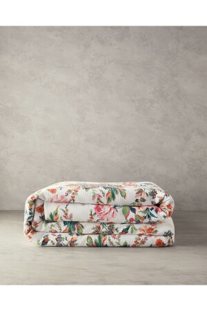 (منيز) - (بايك) الوردي - English Home