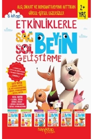 Entwicklung der rechten und linken Gehirnhälfte mit Aktivitäten (2 JAHRE), 6er-Set - 1