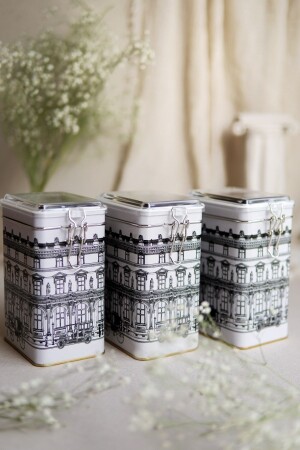 Erb21t9 Dikdörtgen Kilitli Saklama Kabı 75x100x150 3 Lü Set City ERB21T9 - Evle