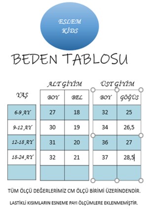 Erkek Bebek T-shirt Ve Şort Ikili Takım H0002 - 8