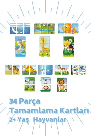 Eşleştirme Ve Tamamlama Kartları 4 Lü Set BON8026803381328149 - 8