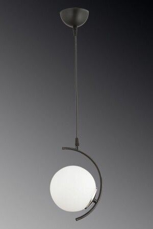 Evren Single Black and White Globe Glass Pendelleuchte Kronleuchter TYC00200930282 - 1