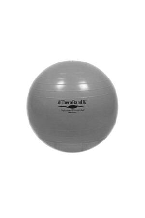 ® Exercise Balls 85 Cm & Abs Ball, Silver P5803S3134 - 1