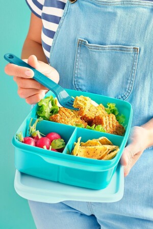 Fächer-Lunchbox 1l Wasserblau 7817C-3 - 7