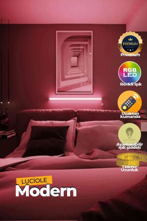 Ferngesteuerte LED-Lampe – über dem Bett – neben dem Fernseher – Wohnzimmer – mehrfarbiges RGB-Ledap14 - 7