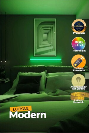 Ferngesteuerte LED-Lampe – über dem Bett – neben dem Fernseher – Wohnzimmer – mehrfarbiges RGB-Ledap14 - 8