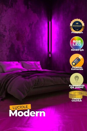 Ferngesteuerte LED-Lampe – über dem Bett – neben dem Fernseher – Wohnzimmer – RGB mehrfarbig Ledap13 - 2