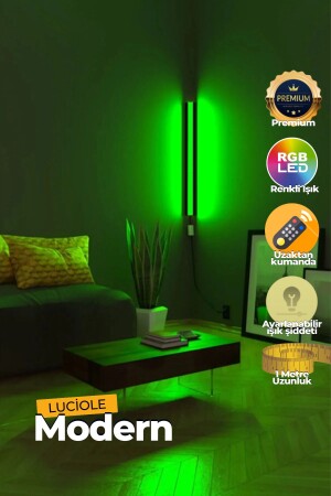 Ferngesteuerte LED-Lampe – über dem Bett – neben dem Fernseher – Wohnzimmer – RGB mehrfarbig Ledap13 - 5