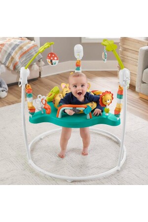 Fisher-Price Cute Leopard Jumperoo, 6–18 Monate, Hnd47 HND47 - 6