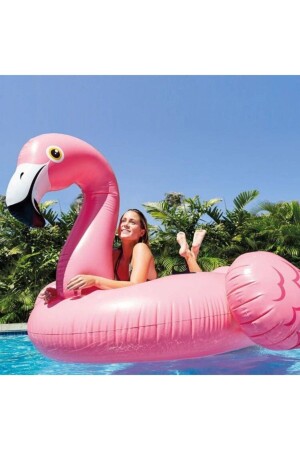 Flamingo Binici-tutmaçlı Ada-mavi Su Dünyası - 3