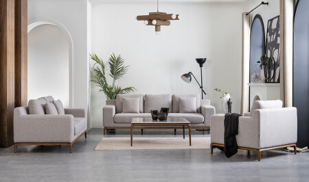 Frankreich-Sofa-Set - 1