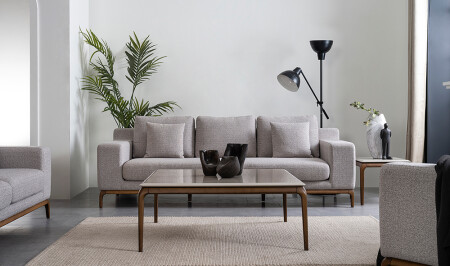 Frankreich-Sofa-Set - 5