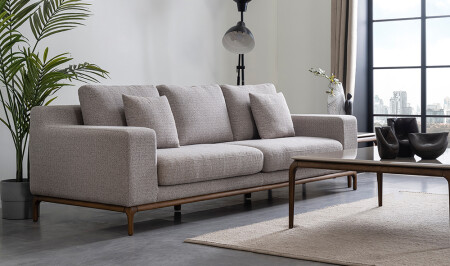 Frankreich-Sofa-Set - 10