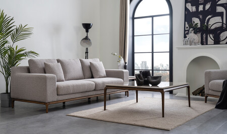 Frankreich-Sofa-Set - 11